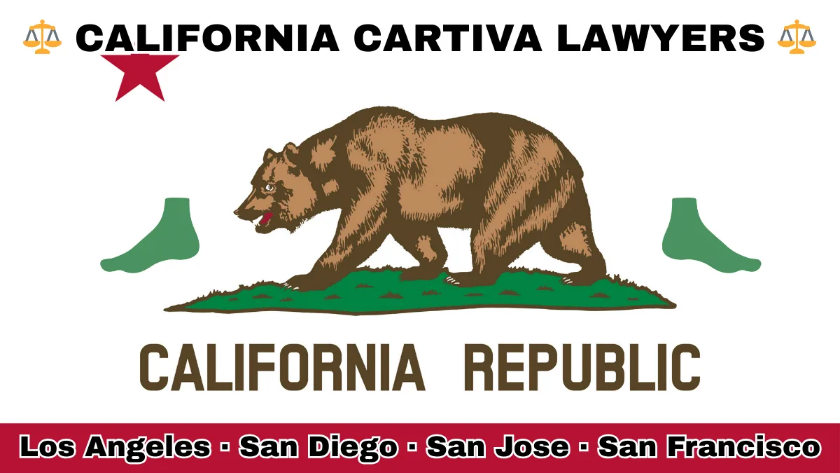 CALIFORNIA CARTIVA LAWYERS: Los Angeles, San Diego, San Jose, and San Francisco text on CA state flag with a big toe and foot depicted near a grizzly bear and red star.